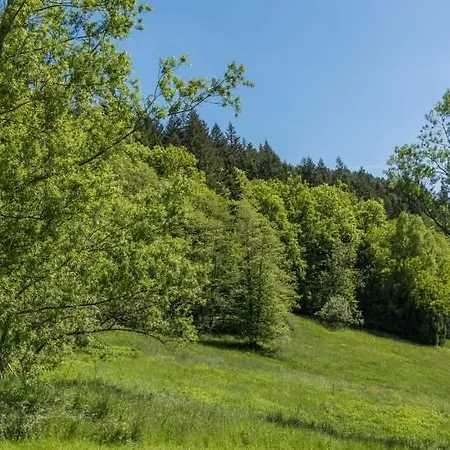 Ferienhaus Dieboldsberg 度假居 阿皮斯班奇